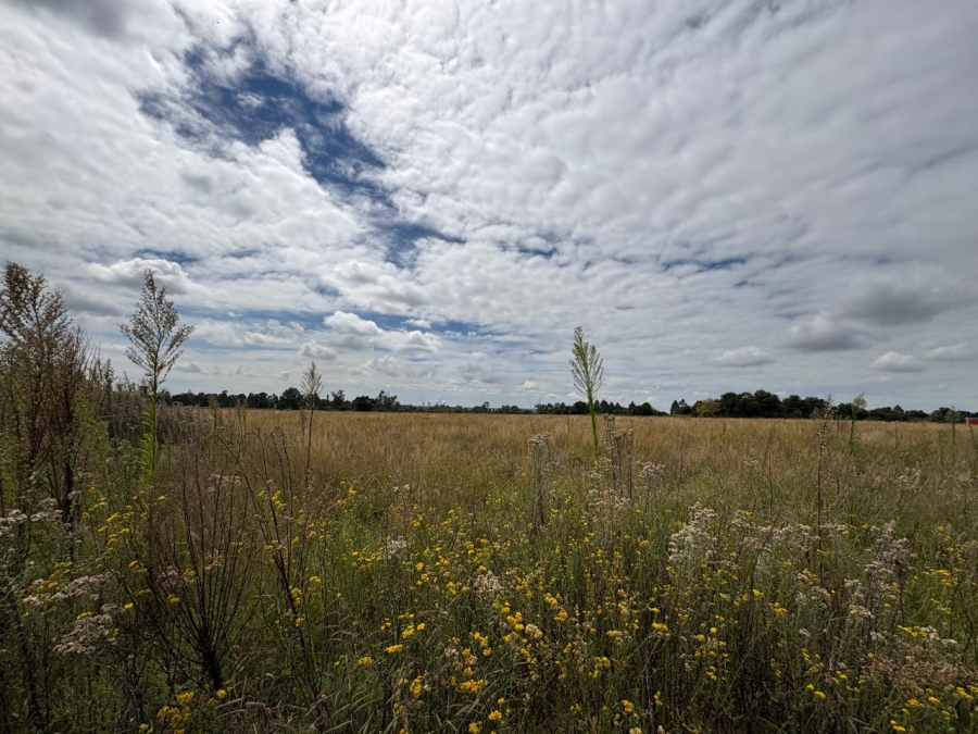 0 Bedroom Property for Sale in Vaalpark Free State